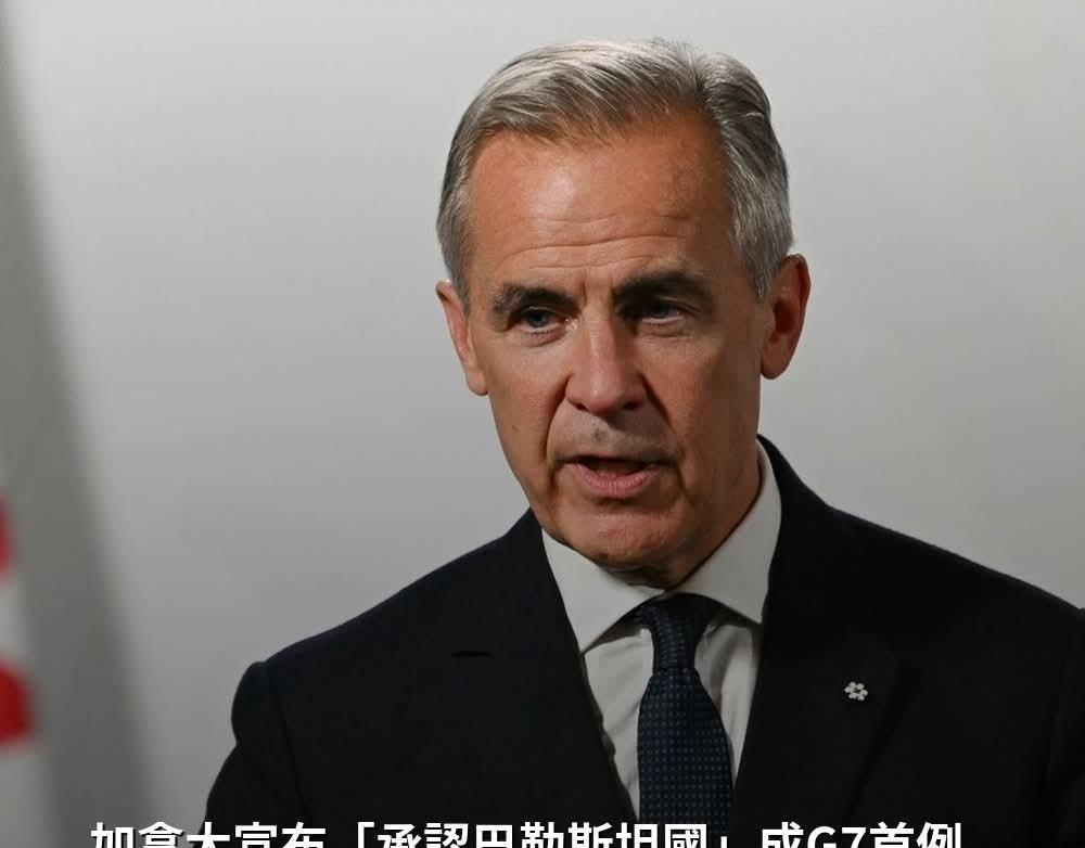 加沙勇士和人民的血没有白流！英法加澳葡等多国承认巴勒斯坦国！
以色列对巴勒斯坦的