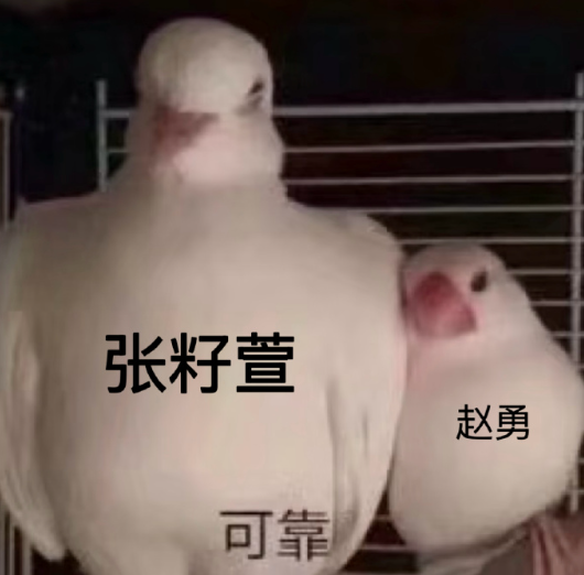 我是觉得张籽萱这个境地赵勇有一定责任，好像有那个张籽萱依赖症一样，六场球了都把全