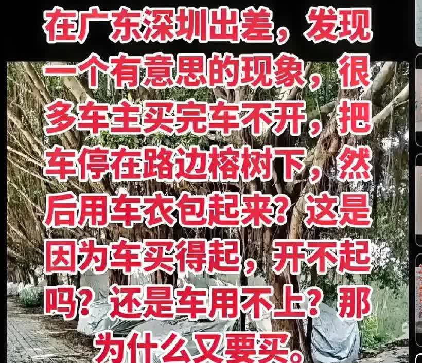 发现广州这边存在一个现象，不少车主把车买回来却不开，而是停在离家不远的榕树下，还