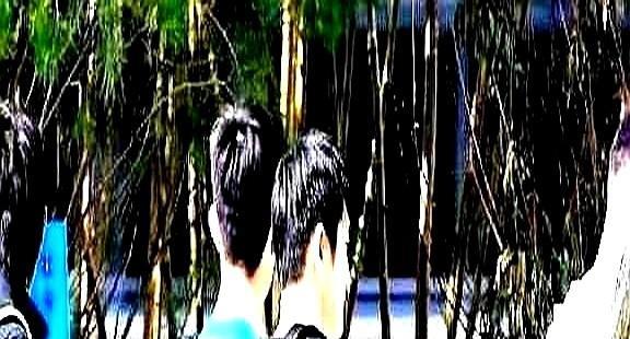 樊振东走了
去德国打球了
结果你猜怎么着？
人家德国人专门给他搞了个黑科技训练馆
