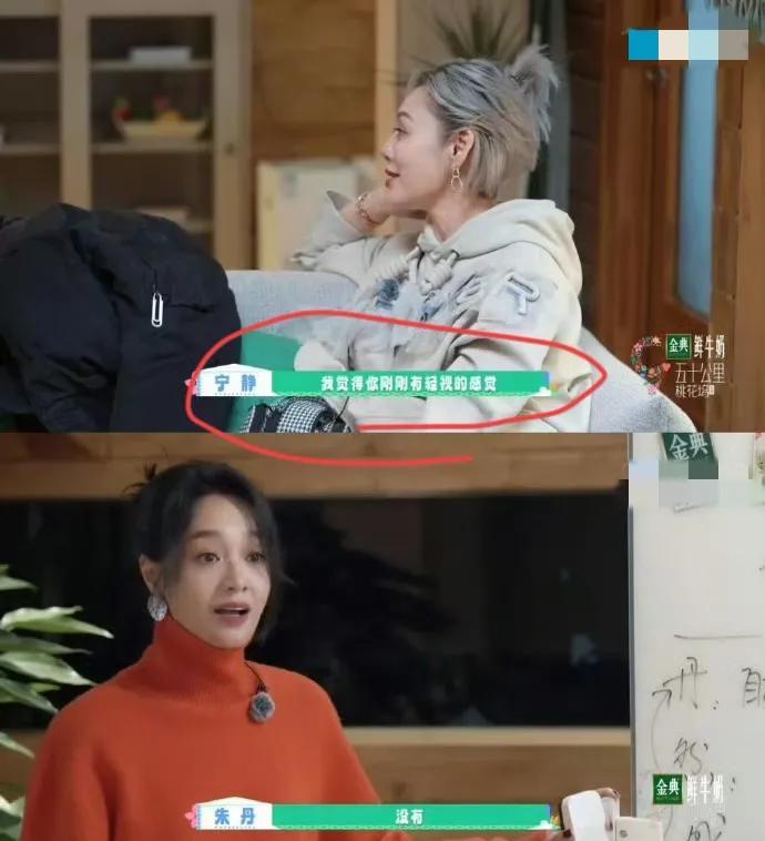 宁静与朱丹的矛盾、欧阳娣娣的哭泣，不过是《桃花坞》节目组策划的社交修罗场，像极了