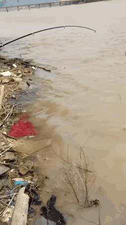 急死了！结果……