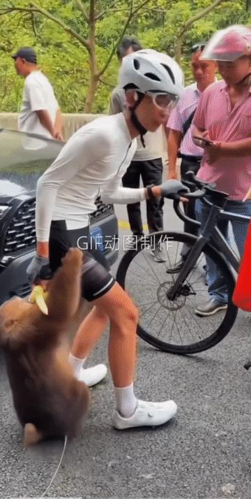 香蕉可能是它最喜欢吃的了，可此时此刻，它对香蕉毫无兴趣，女子怎么喂它，它都无动于