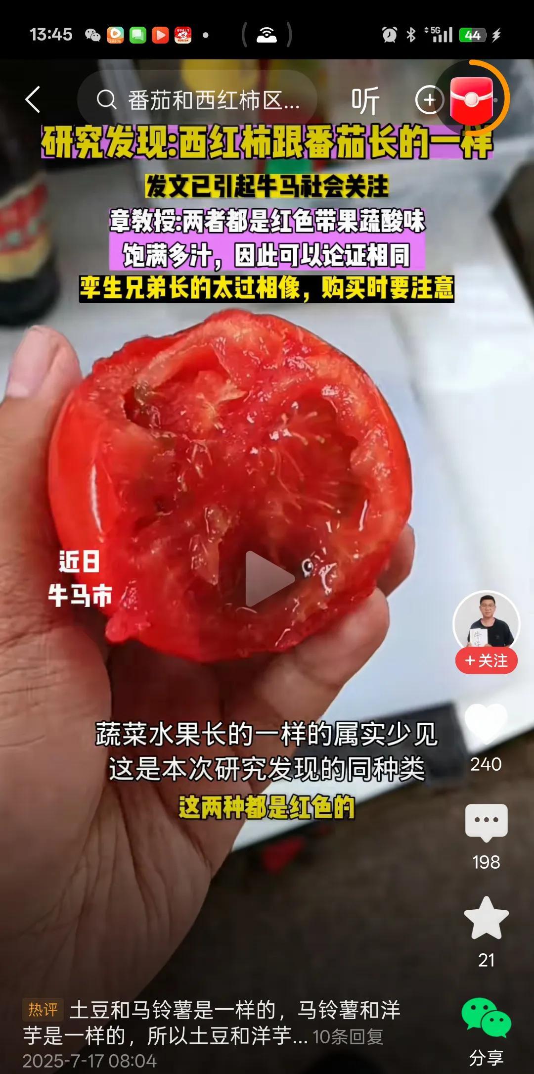 研究发现：西红柿和番茄长的一样！
发现新大陆了，土豆和马铃薯居然也是长一样的，马