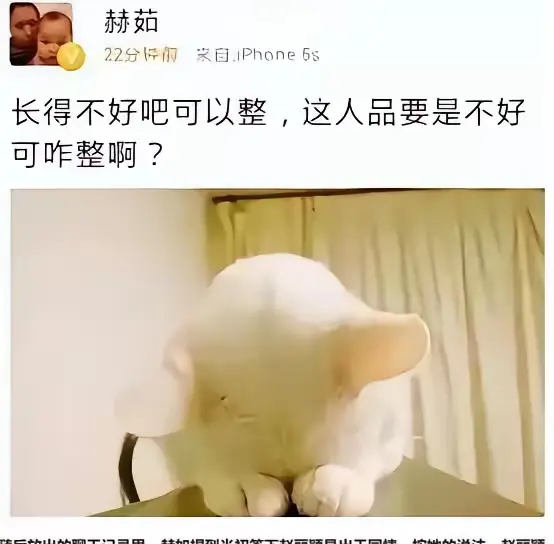 赵丽颖前经纪人为何总黑她？