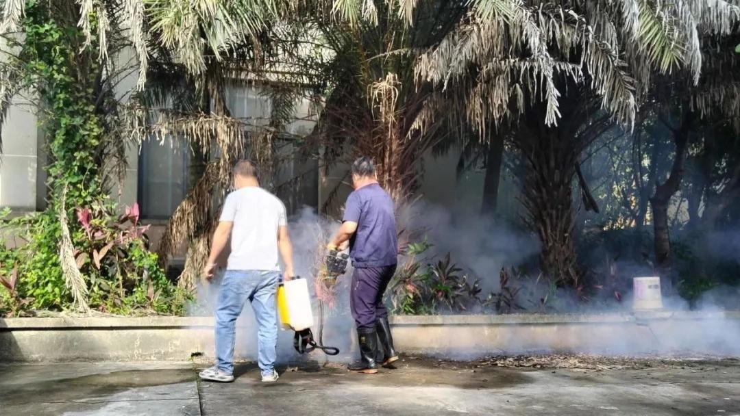 酷暑之下，印奇公司筑牢登革热防控屏障