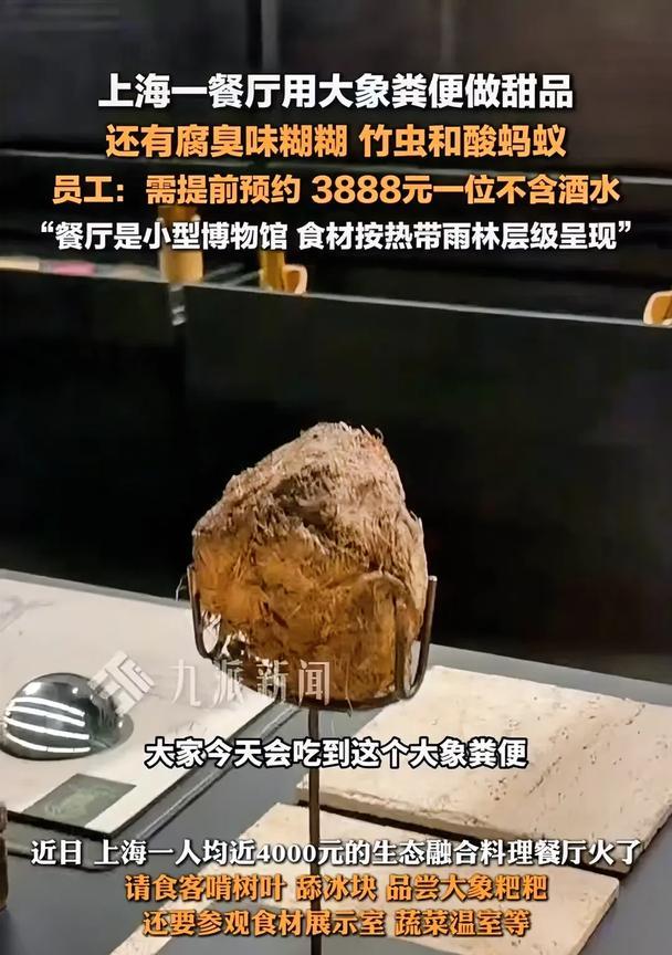 上海，一餐厅推出了大象粪便做的甜品，并命名为“鲜花插在香粪上”。客人如果想尝到这