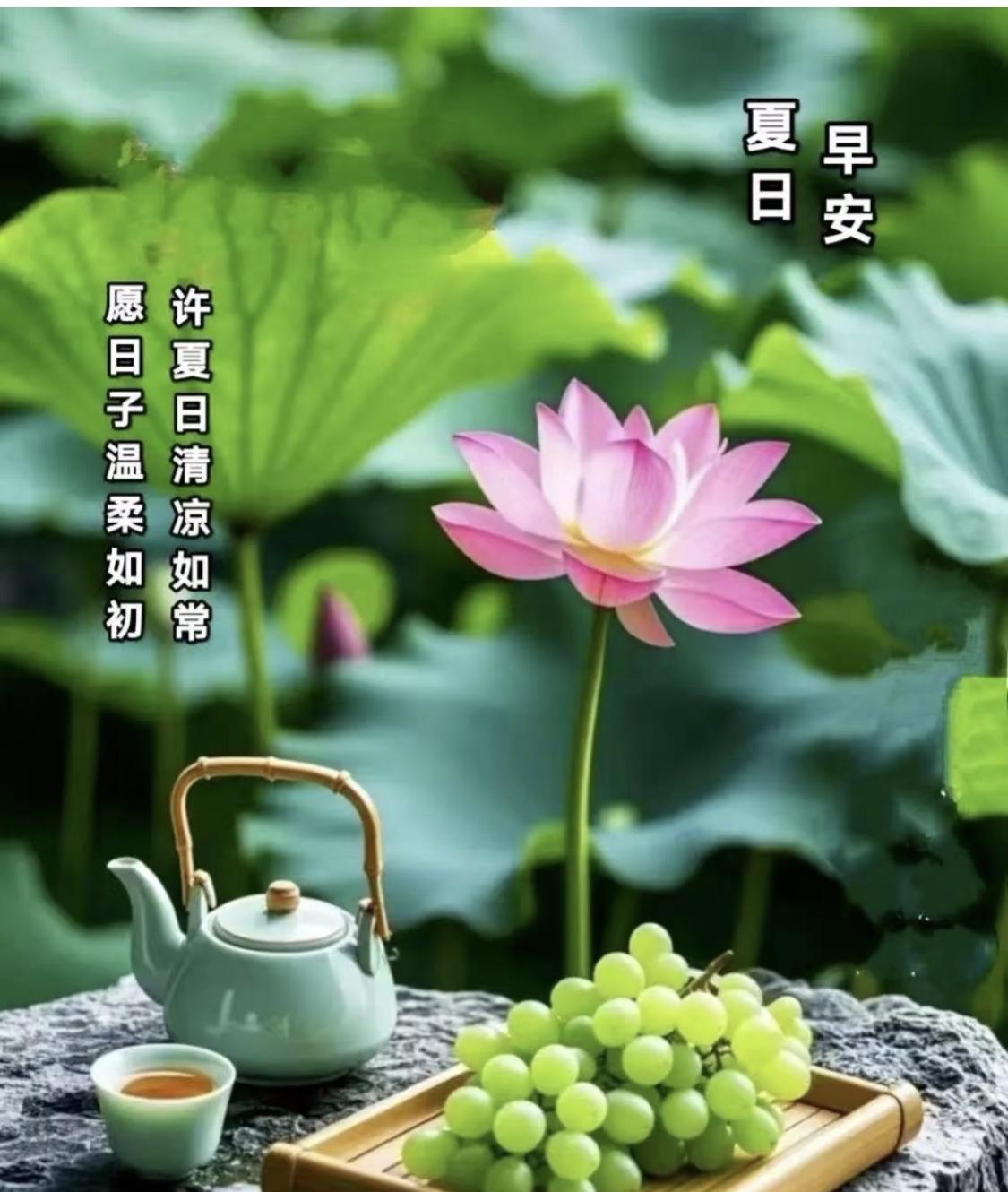 #上联：荷开夏日千般韵，诚邀下联# 下联：桂馥金秋万缕香！
#友友请下联# ？