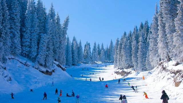 “铜川冰雪大作战”线上挑战赛开赛，大奖拿到手软！