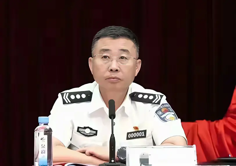 这是什么肩章，在体制内属于什么级别领导？
