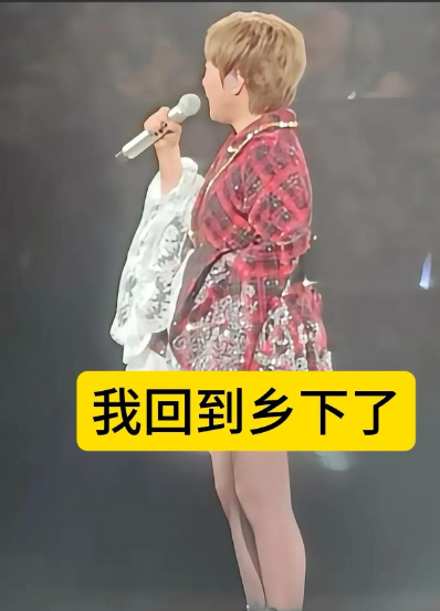 香港歌手陈慧娴在广州演唱会的一句“我回到乡下了”直接冲上了热搜！  

很多人不