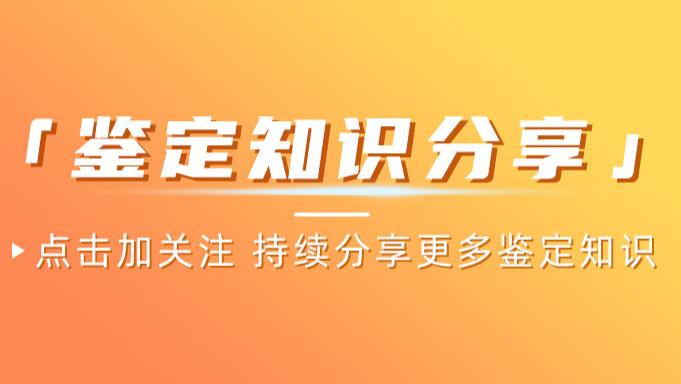 维正 | 手表机芯入门指南