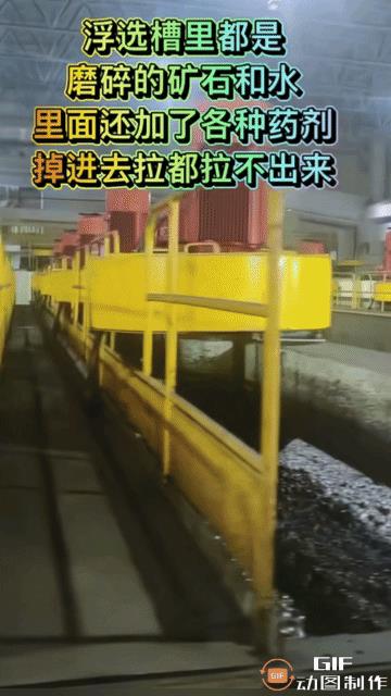 “这是人祸!” 6名大学生在内蒙古企业参观实习中意外坠落“浮选槽”溺亡！
7月2