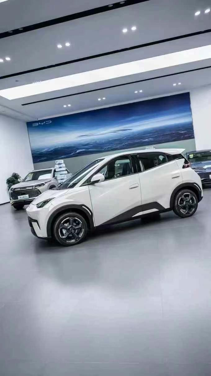 德州比亚迪海鸥车友真实成交价