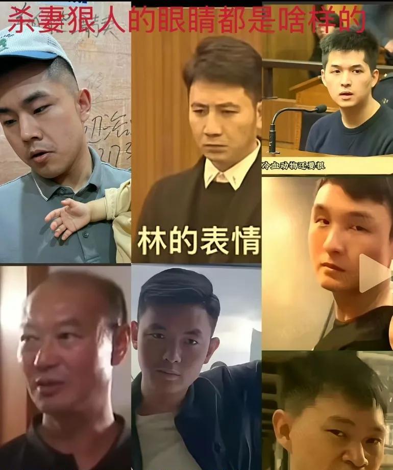 杀妻狠人的眼神都是什么样子的？三白眼，鹰钩鼻，下眼睑，狠人特征都全了
单眼皮，上