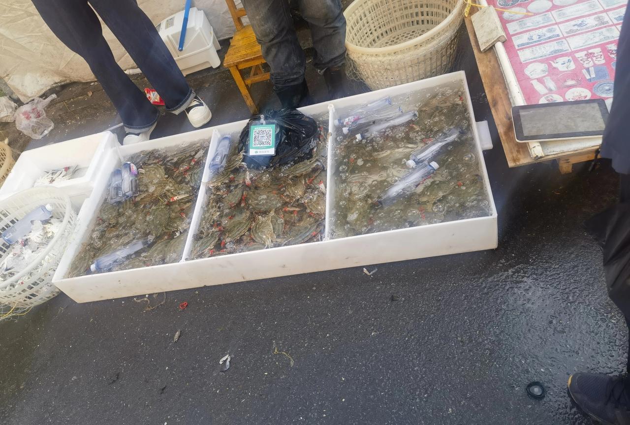 一个你不知道的边境小城市-东港！来东港一定要逛这里的早市！
十一回来，早晨起来第