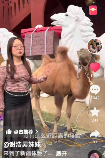 也不知道是不是谢浩男大妹特意穿成这个样子的，为了能引起话题，
看到这个视频下方评