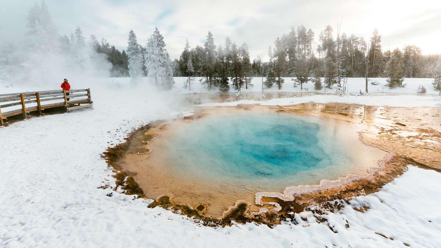 见过夏天黄石，那你知道冬天有多“野”吗？