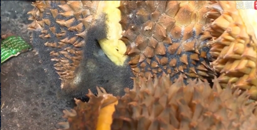 “上当了！商家的心肠，怎么跟发霉的榴莲一样黑”？5000块钱，卖给人家20箱榴莲