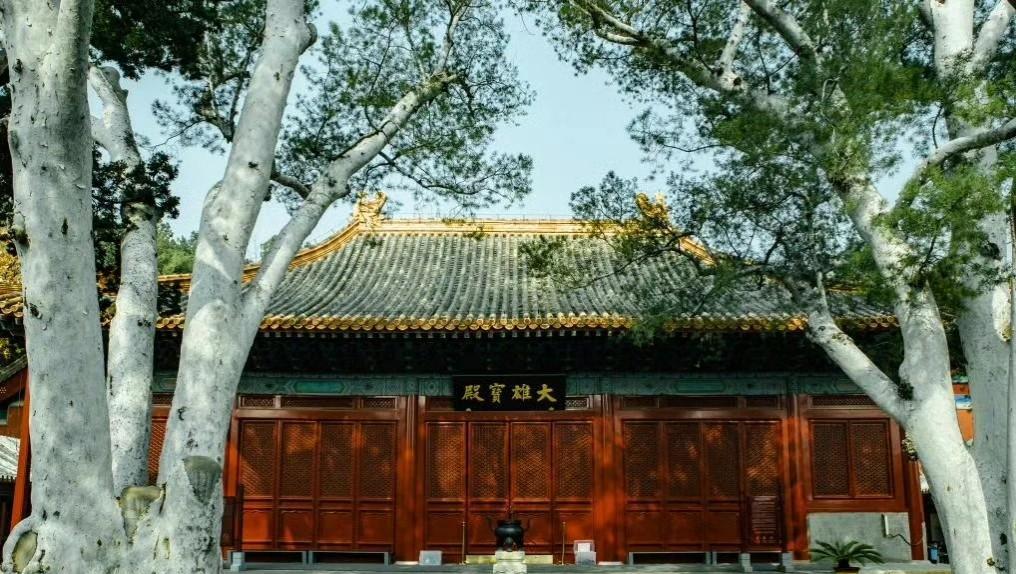 WTT北满抽签地太牛了，选在了石景山法海寺壁画博物馆里！
WTT谁能懂你，哈哈，