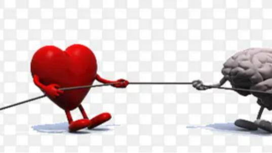 妈花3千买“护心脑保健品”，不如每天一把坚果：别交“智商税”