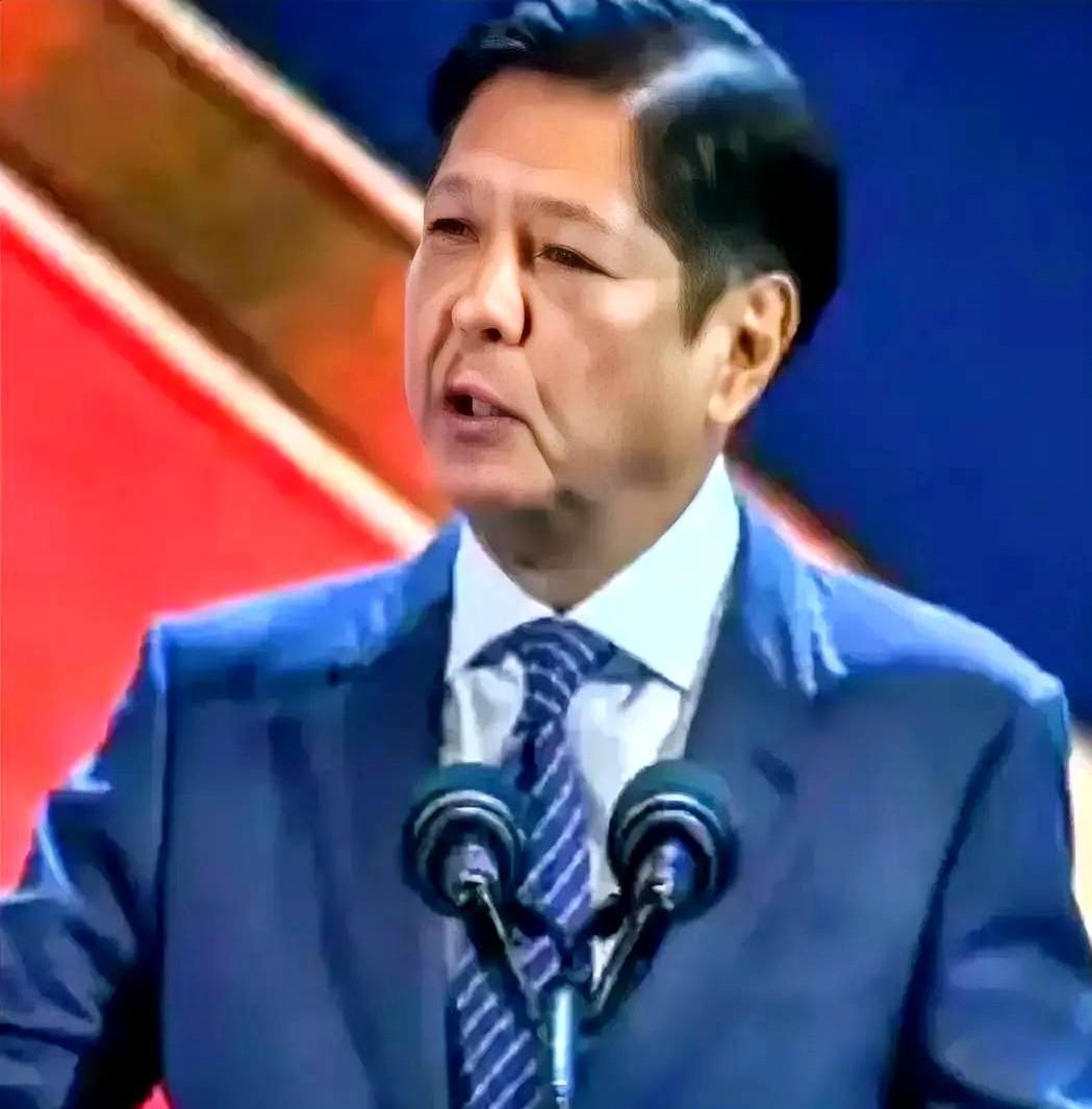 菲律宾政坛最近上演的荒诞剧，活脱脱给全球豪门世家上了堂反面教学课。小马科斯家族坐