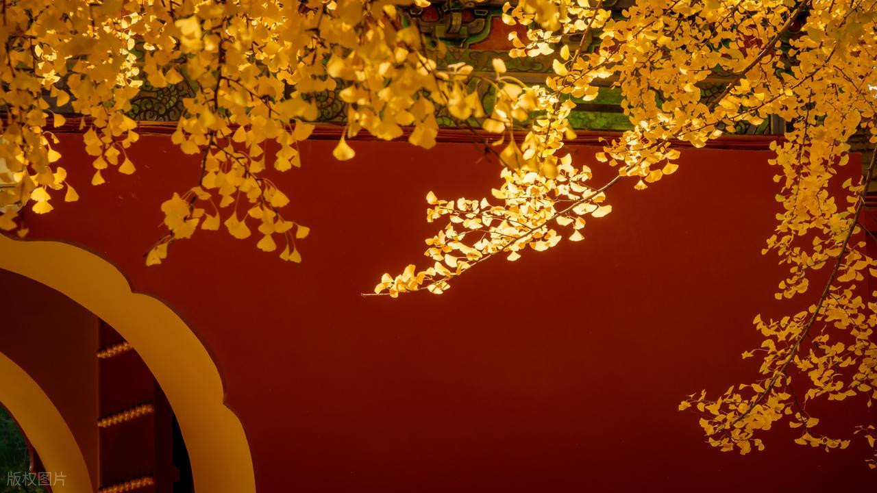 不管你喜不喜欢秋天