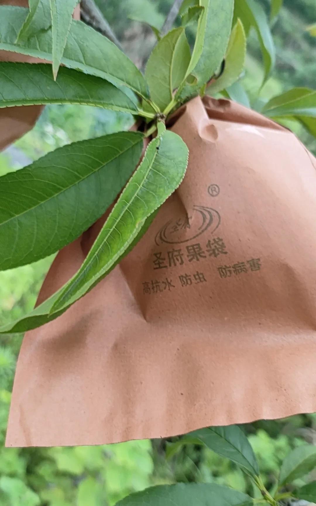 在单位，同事找你借这几样东西，最好马上拒绝，否则吃亏的是自己:
1，公司电脑和工