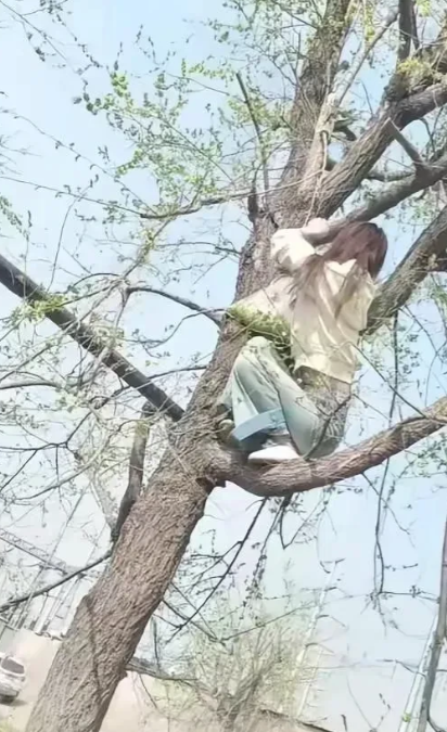 树上拉屎要脱裤子呀[拍手][拍手]

