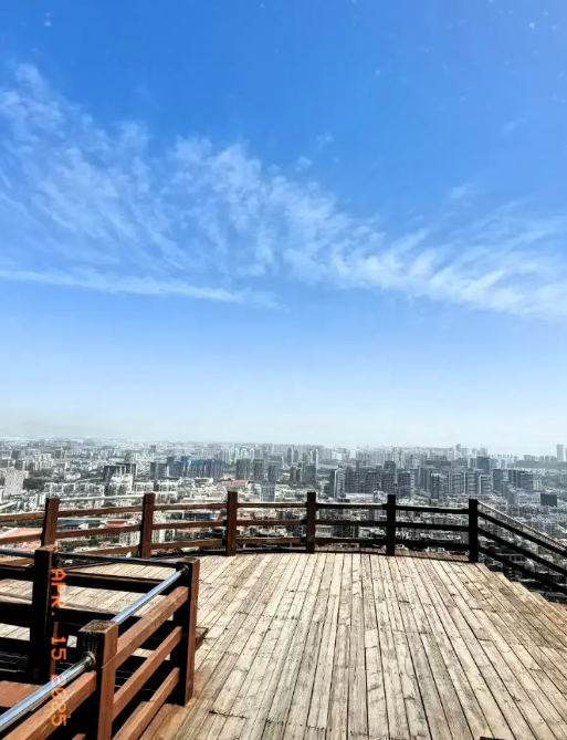 我发现小学成绩在班级前10名，初中成绩一定会在年段前100名，中考也一定能考进重