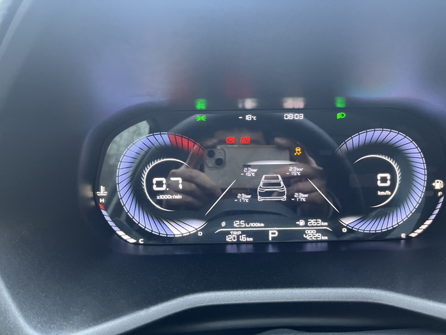 有谁遇到过车子被冻坏了的吗
今天早上-27度启动车辆正常，仪表显示自动启停和手刹