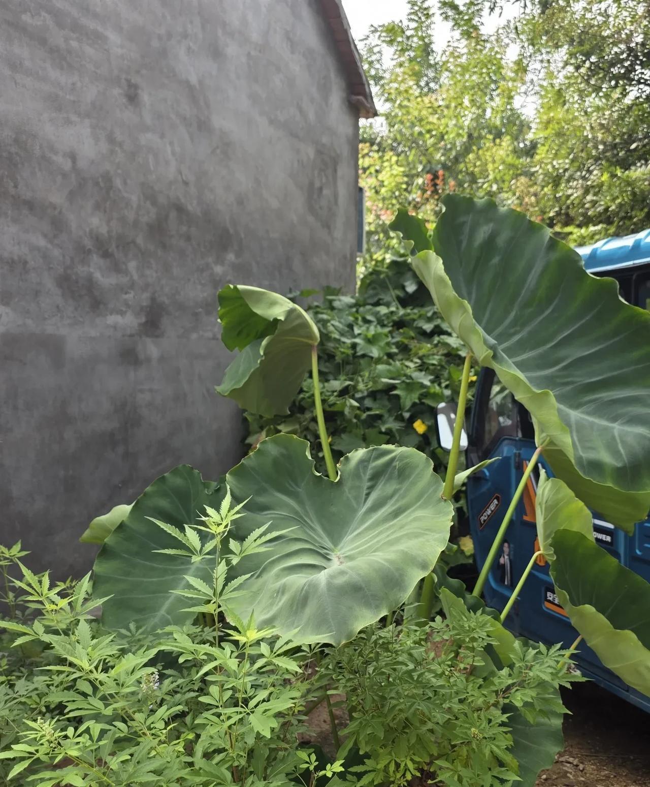 我与一位粉丝朋友的观点之争……
先声明，我与这位粉丝朋友没有任何成见，正如他对我