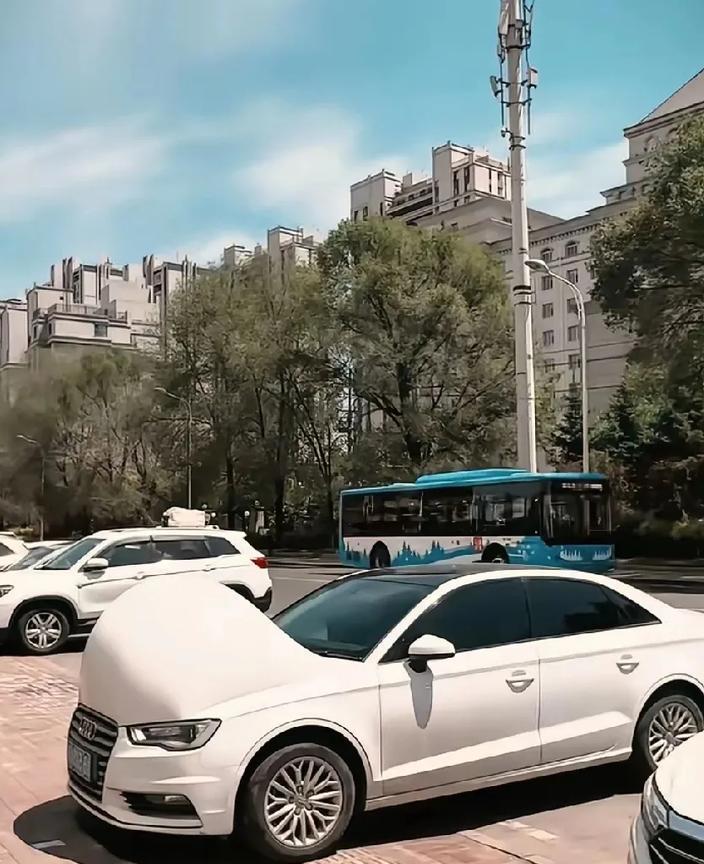 这是奥迪哪一款，怎么路上从没有遇见过