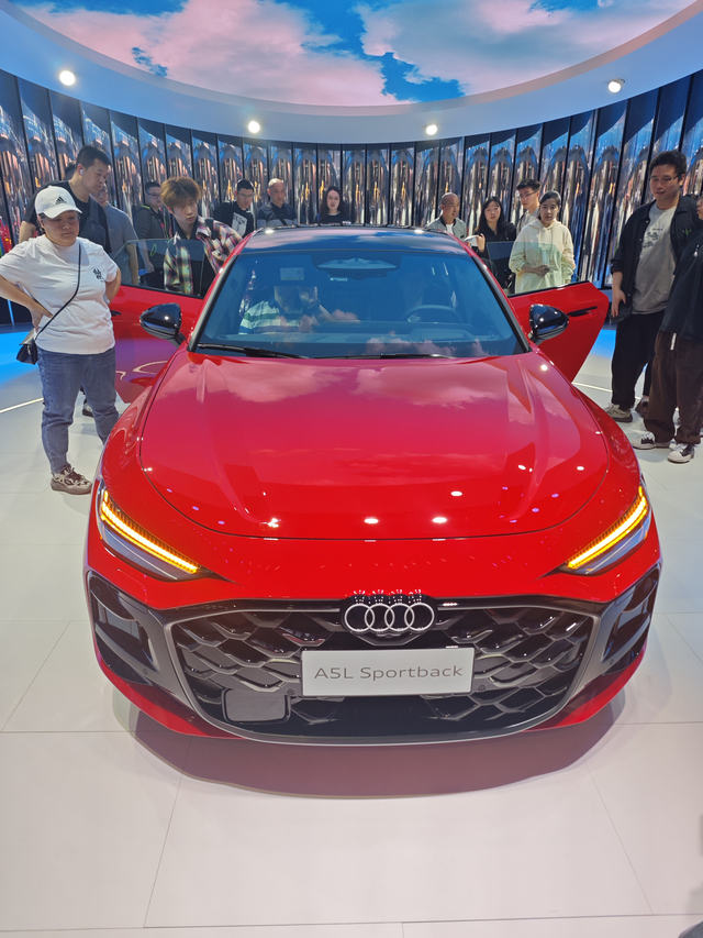 奥迪A5L门把手应急拉绳是否存在安全隐患
这个应急拉绳我有一个疑问，就是如果锁车