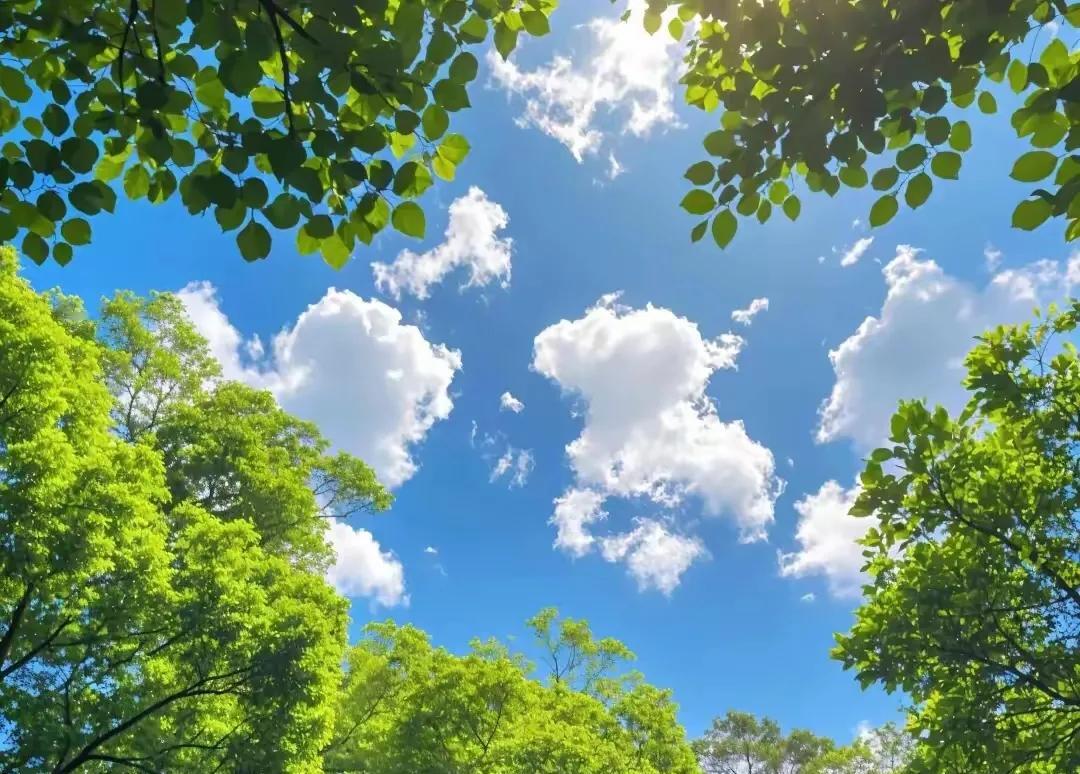 人活着为什么要沉淀？
就算你坐拥顶级豪宅，收藏限量名车，账户躺着九位数，百年之后