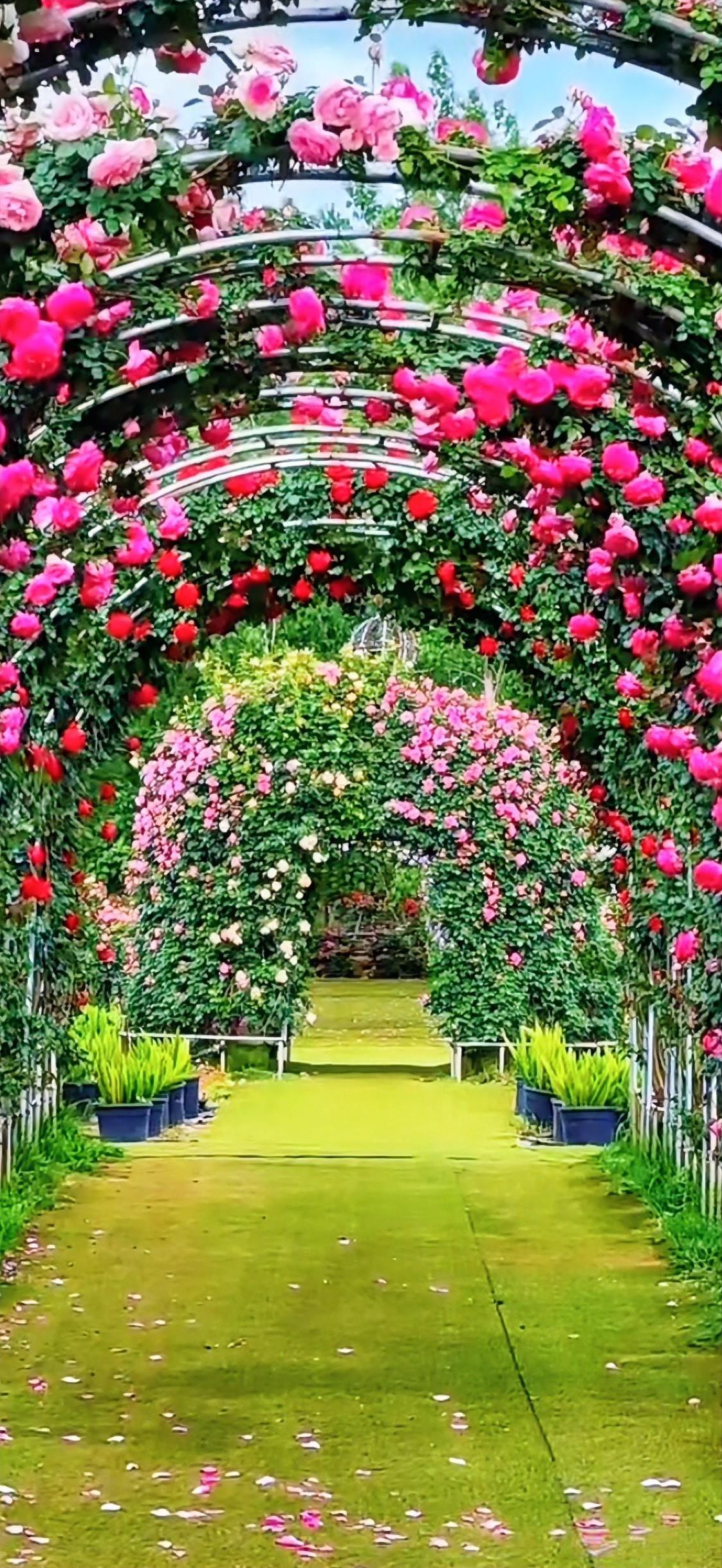 幸福是一束光，穿透阴霾抵达心田。
幸福是一阵风，吹散愁云留下澄澈的画卷。
幸福是