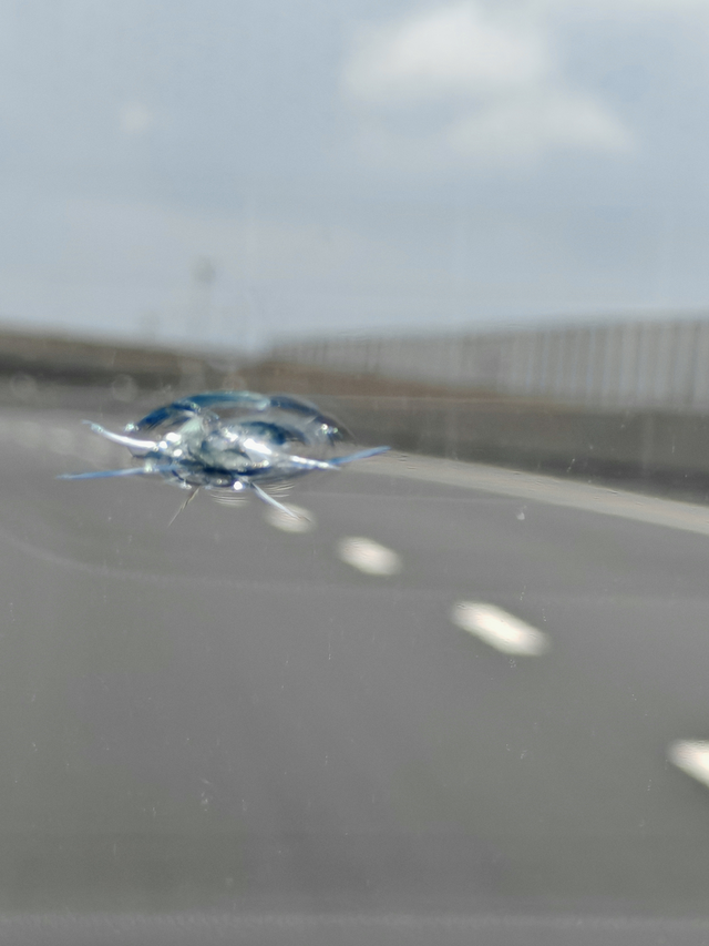 高速路上被崩了
高速上一颗小小的石子儿，废了一块儿前风挡