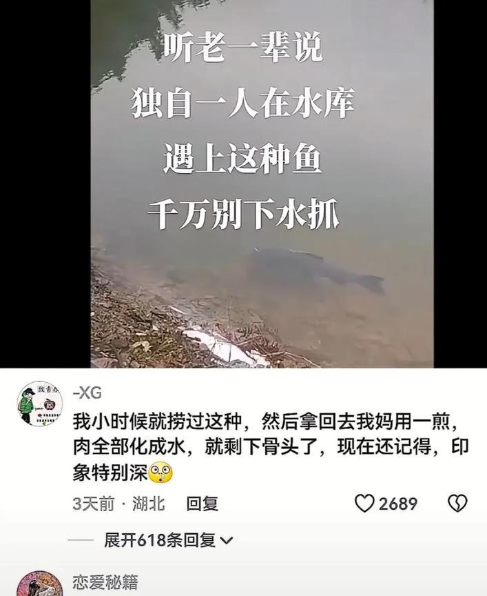 不懂就问，为什么这种鱼不能下水抓？