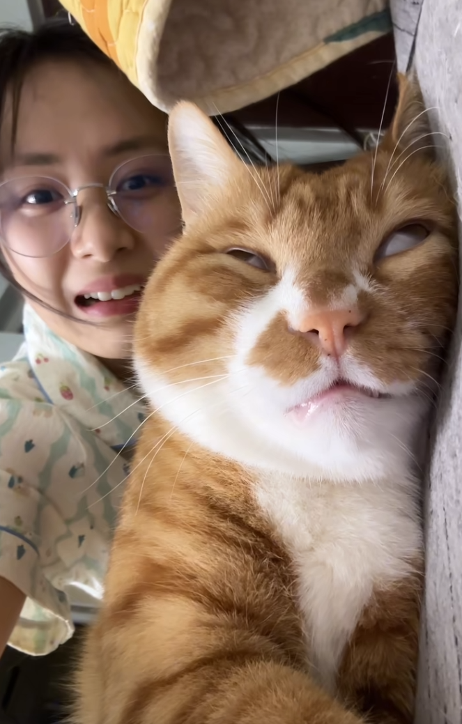 猫：嗯？  好像背后有人。