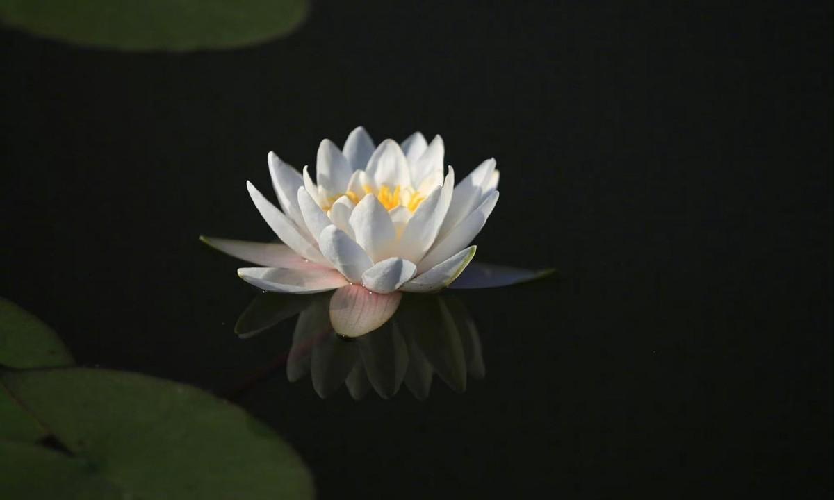 喜欢的一段话： ”不要用别人对待你的方式，来衡量自己的价值。”
孟子曾提出“人性