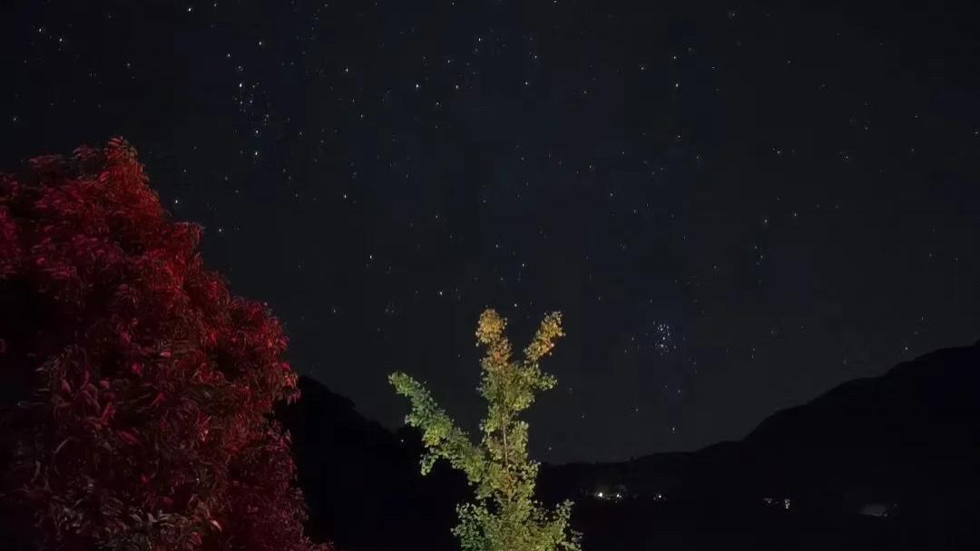 娱乐圈耳环事件解读！