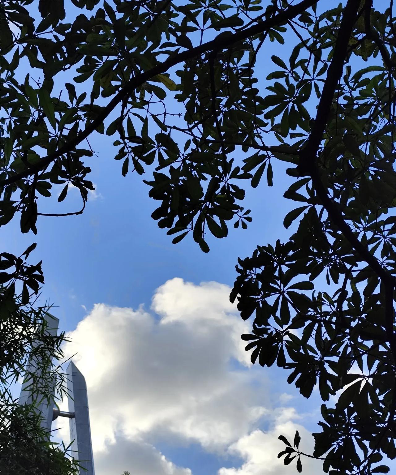 方家翊说胡楚靓小袁分手后，失恋的戒断反应应该很痛苦。
方家翊才是那个将心比心感受