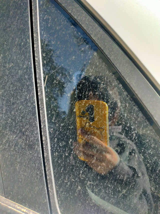 这是不是有点扯
洗完车一天就变成这样子了，莫非想让我一个礼拜洗两次