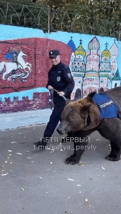 毛子蜀黍牵着一头硕大的黑色警犬……不……是警熊……出现在公众面前。世界上也就俄罗