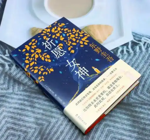 《祈愿女神》东野圭吾｜2025悬疑新作！实体店销量冠军