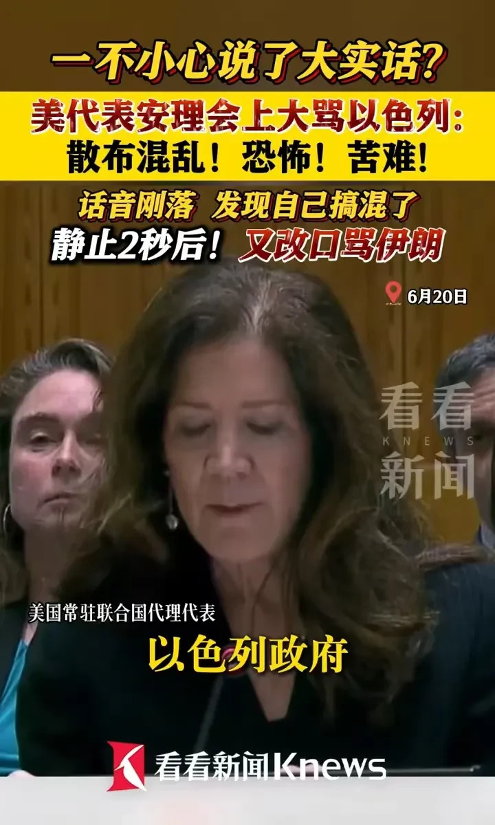 美国代表口误大骂以色列，真刺激！











天呐！安理会现场炸锅了！