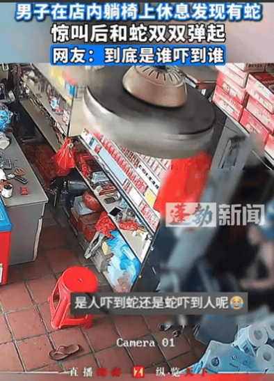 8月1日广东，男子正在店内休息，突然听到“嘶嘶”的声音，他下意识低头一看，吓得魂
