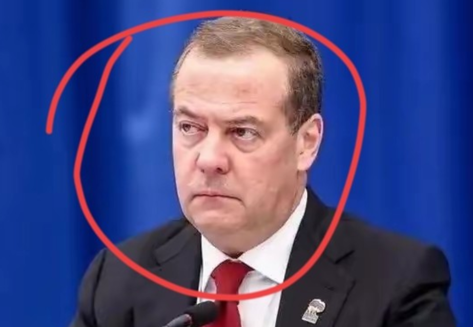我的天呐，这泽连斯基是不是真的疯了啊？！

你们看到这个消息了吗？我简直不敢相信