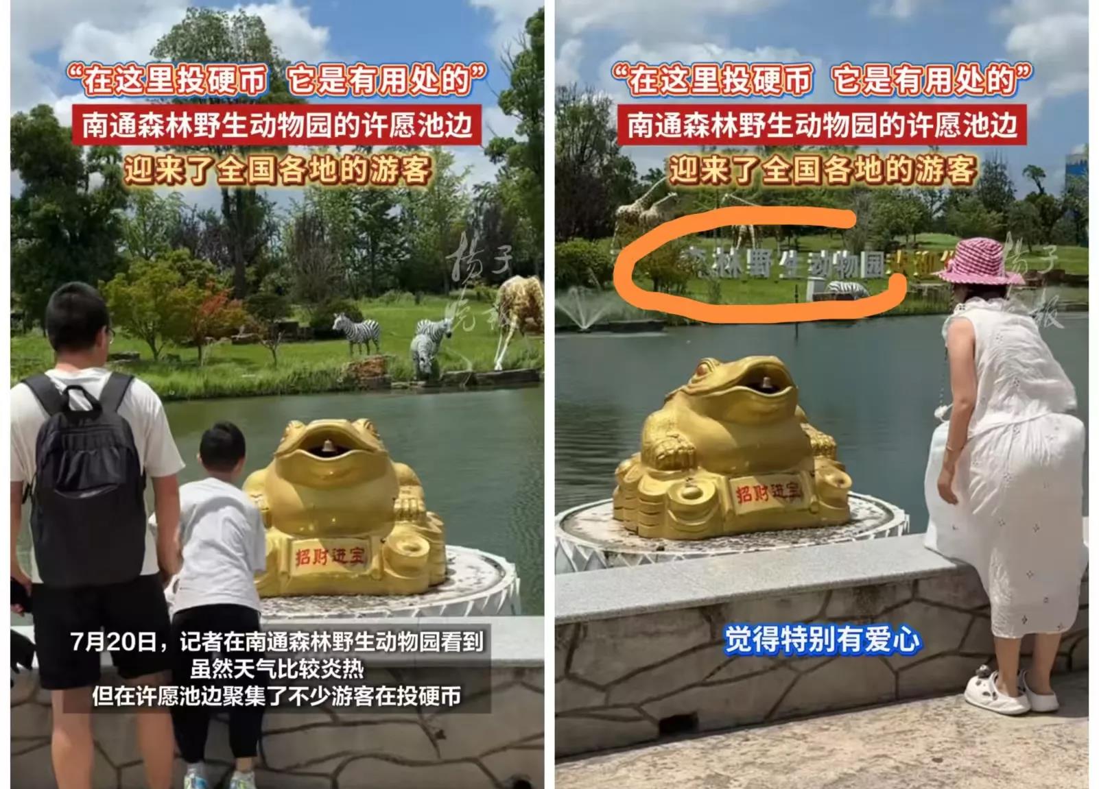 南通动物园彻底坐不住了！

不就是捐了许愿池里的金币嘛，没想到马上就有这么多