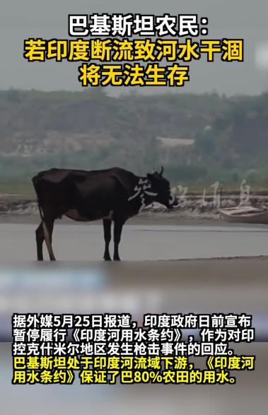 假如印度一直关闸不放水，巴基斯坦能做什么呢？
这么说吧，如果再不放水，最先完蛋的